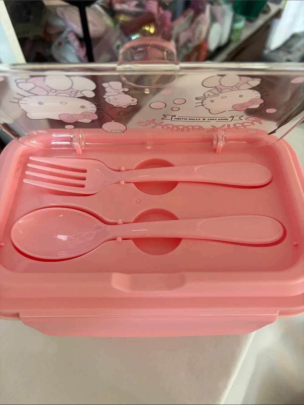 Hello Kitty Pink Plastic Bento Box with Cute Character Art